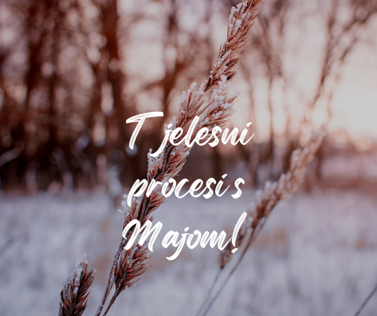 Tjelesnim procesima do samopouzdanja i stabilnosti. Prijave za prosinac 2025!